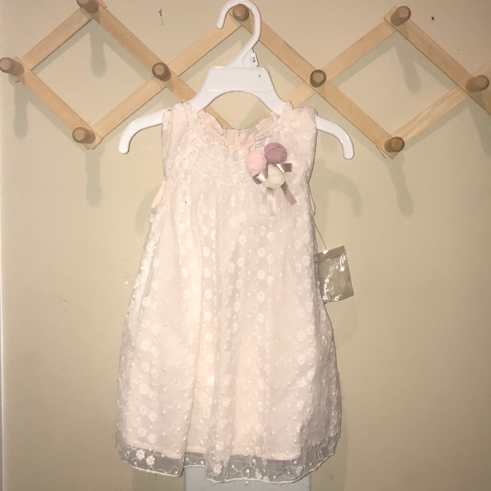 Cute Pink Roses Baby Dress